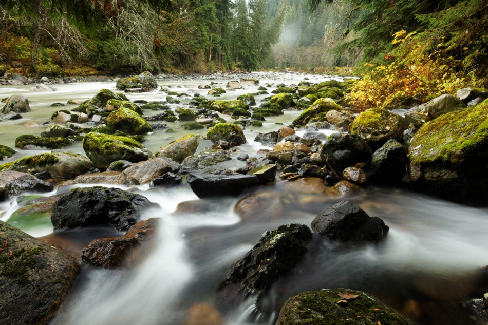 Twentytwo Creek spilling into South Fork Stillaguamish River, Mountain Loop Highway, Snohomish County, Washington Cascade Mountains