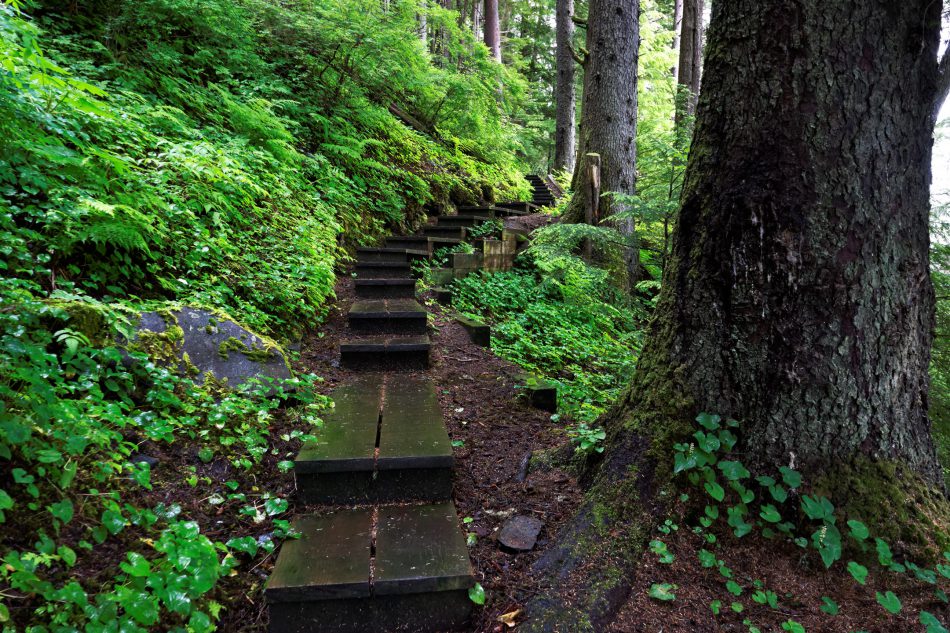 Mt-Dewey-Trail-Wrangell