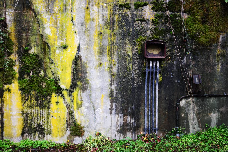 Rusty electrical box on moss and algae covered concrete bunker wall, Artillery Hill, Fort Worden State Park, Port Townsend, Washington, USA