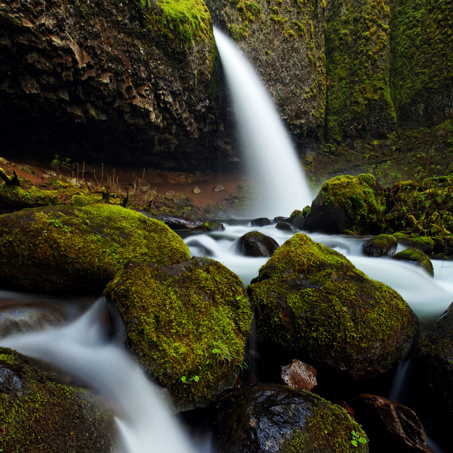 Horsetail Creek plummets over Ponytail Falls and moss covered boulders, Columbia River Gorge National Scenic Area, Oregon