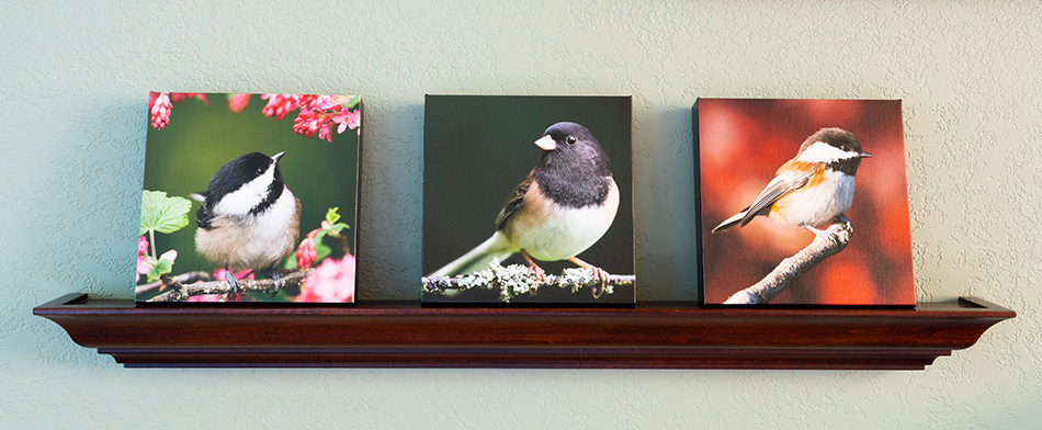 Songbird Picture Frame Stand