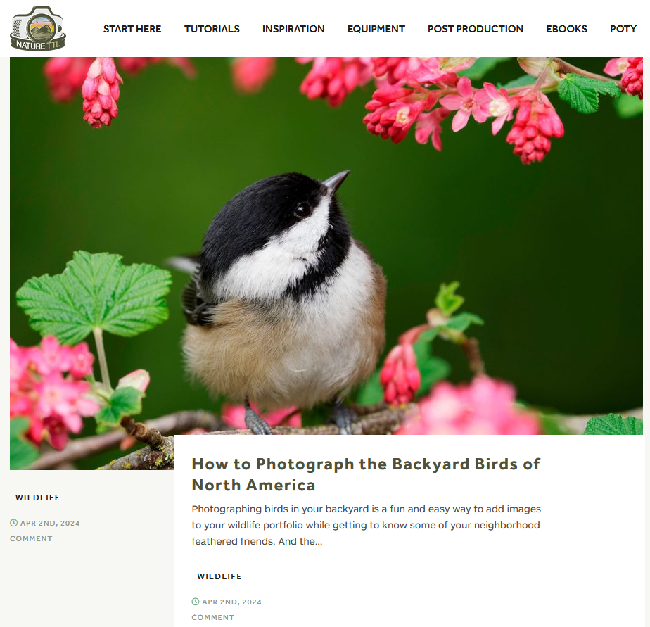 Nature TTL:  How to Photograph the Backyard Birds of North America